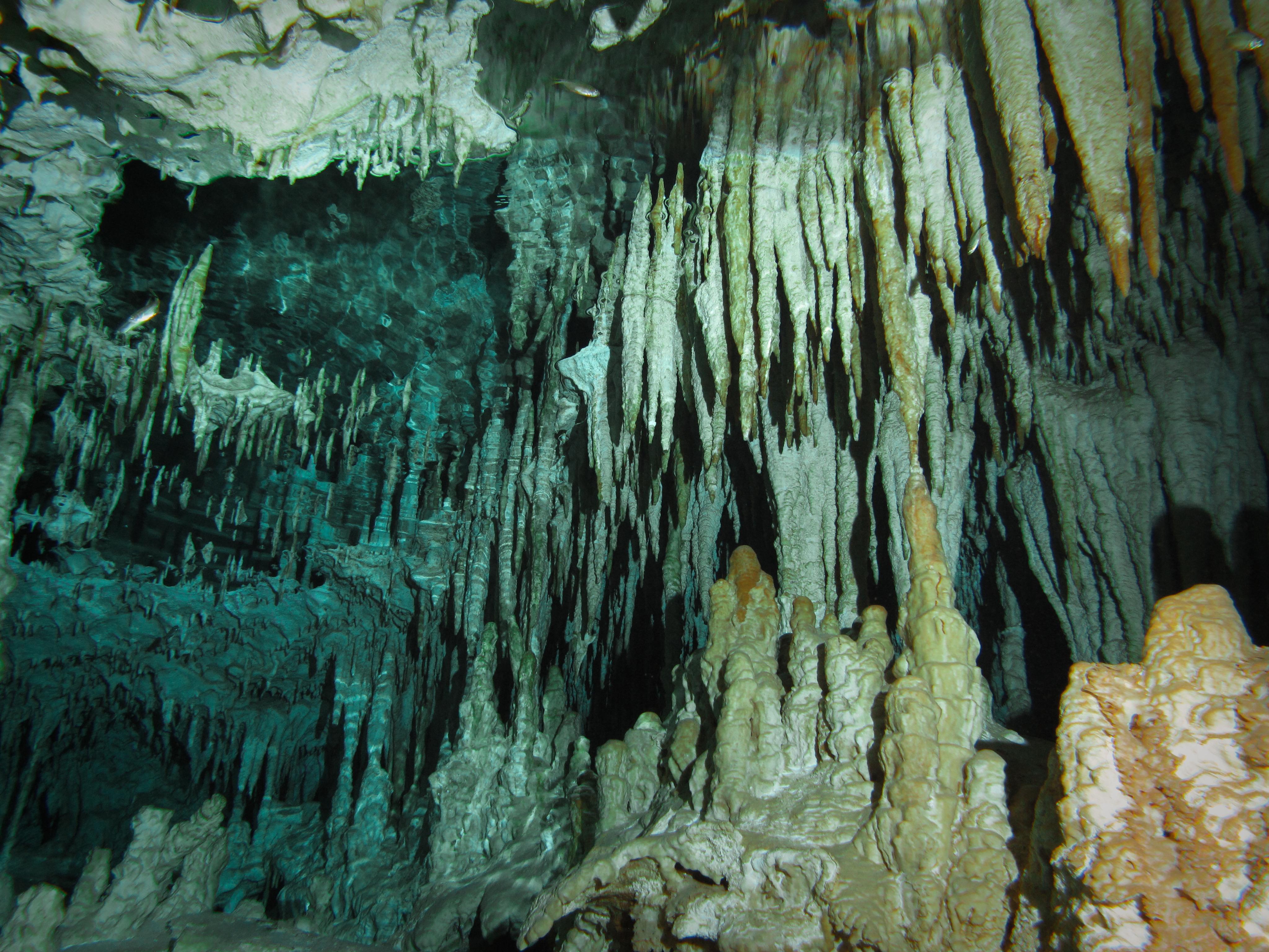 Limestone formations inside a Mexican cenote